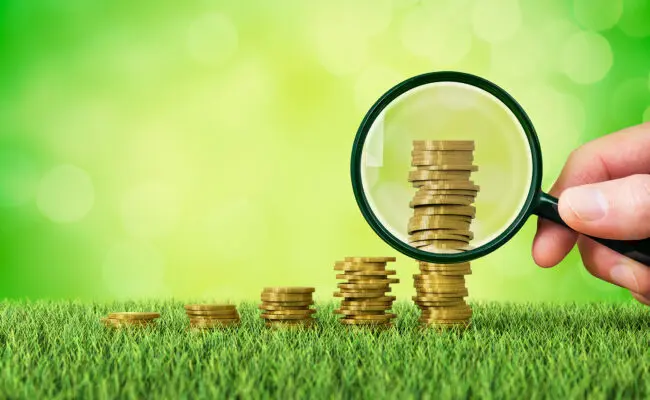 Lawn care costs
