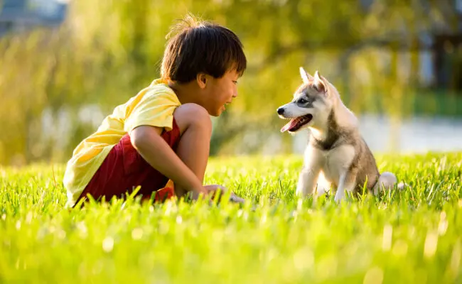 boy with his dog on a lush healthy lawn
