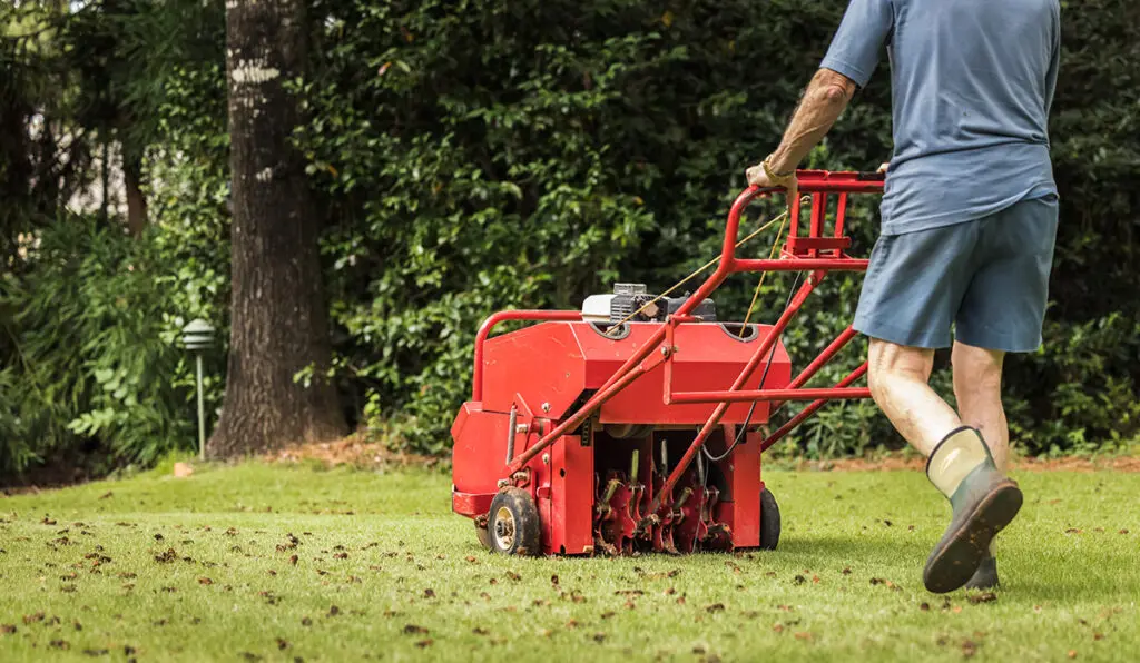 Person doing lawn aeration
