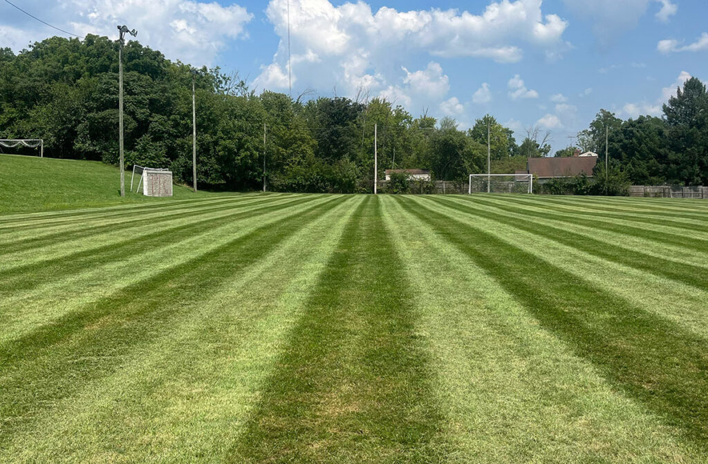 sports field