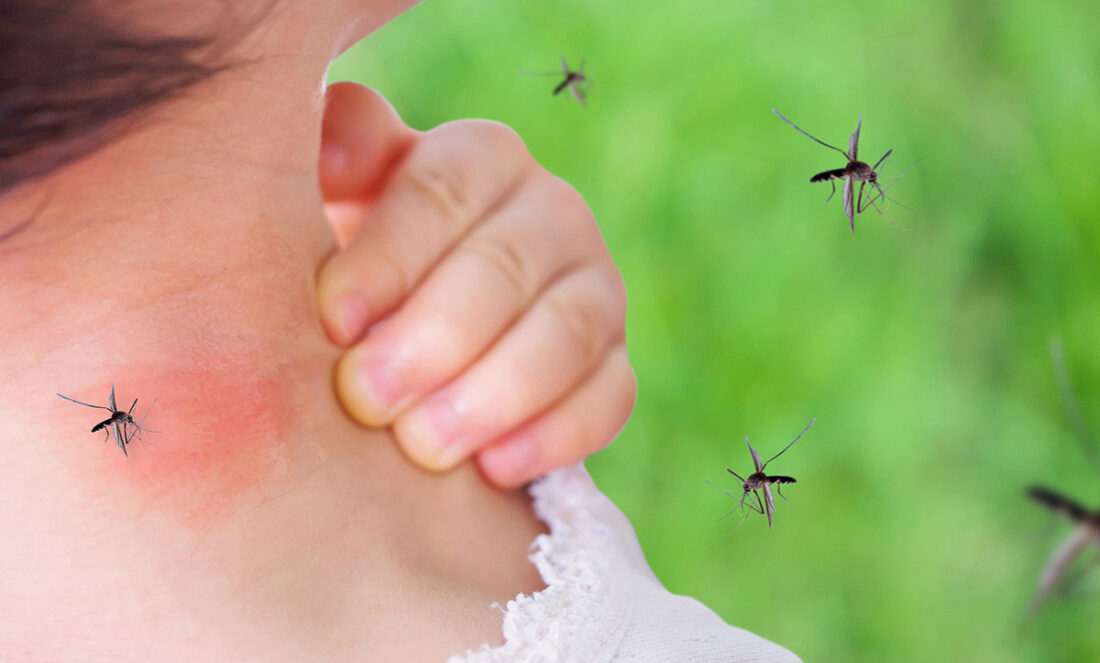 Mosquitoes swarming around a person
