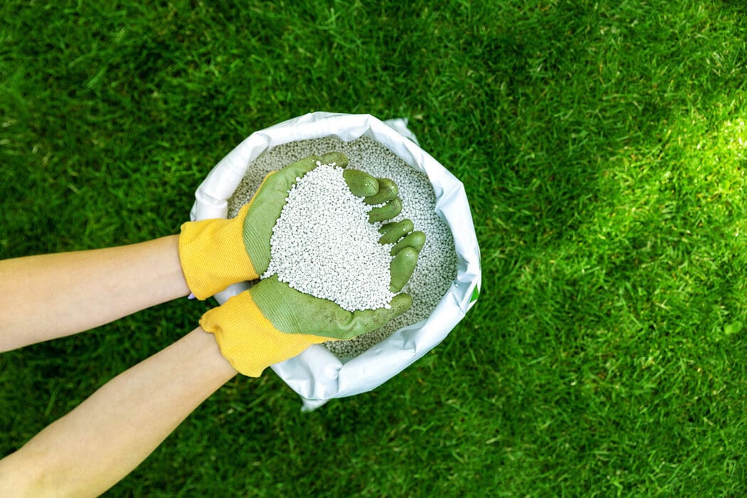 hands with fertilizer