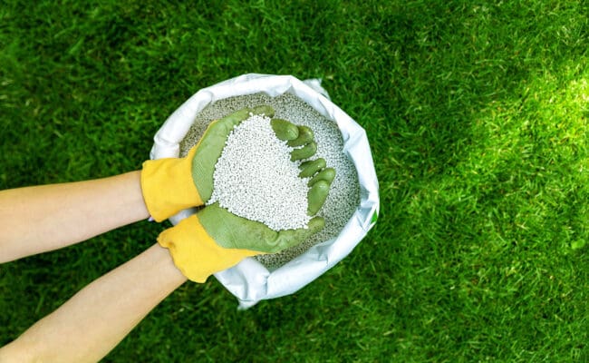 hands with fertilizer