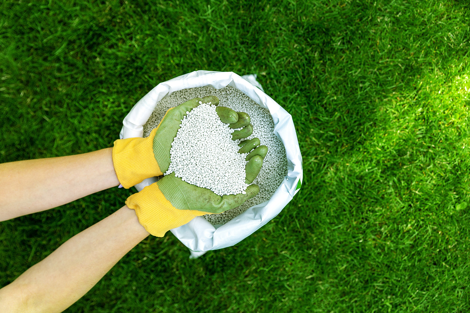 hands with fertilizer