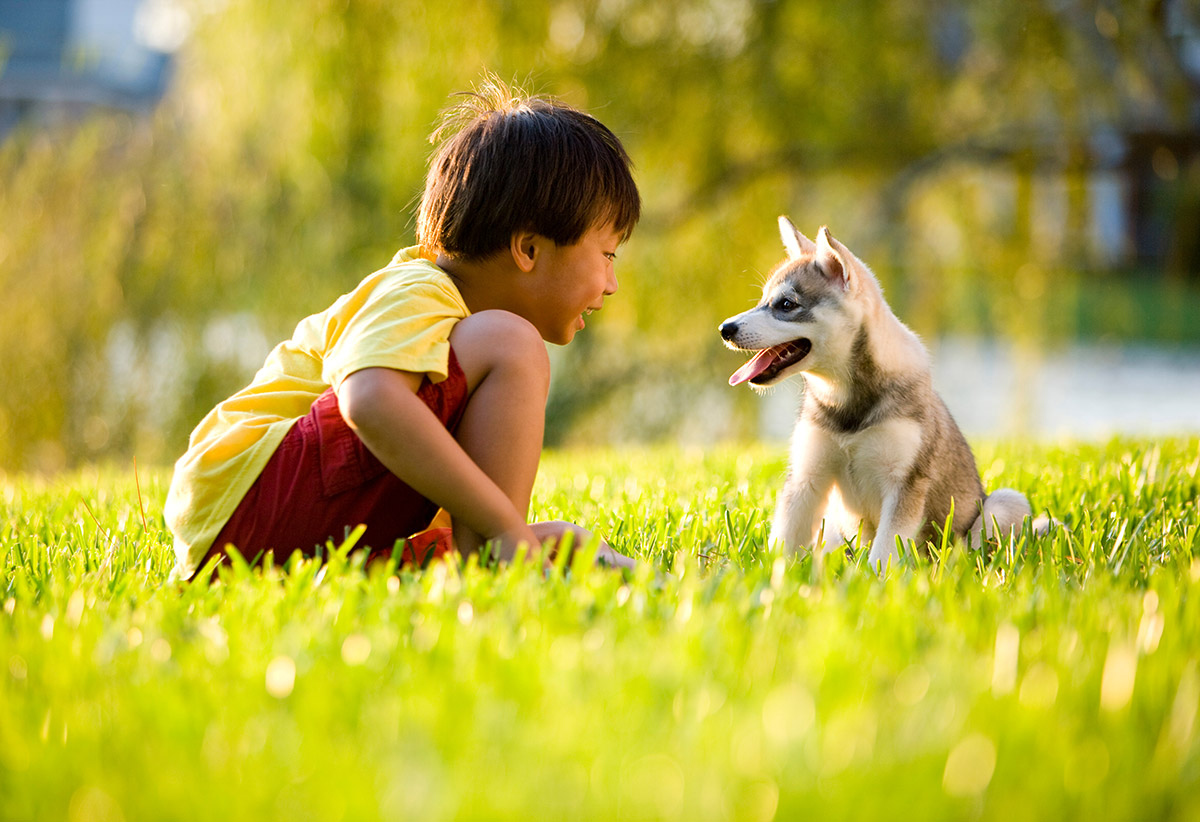 boy with his dog on a lush healthy lawn
