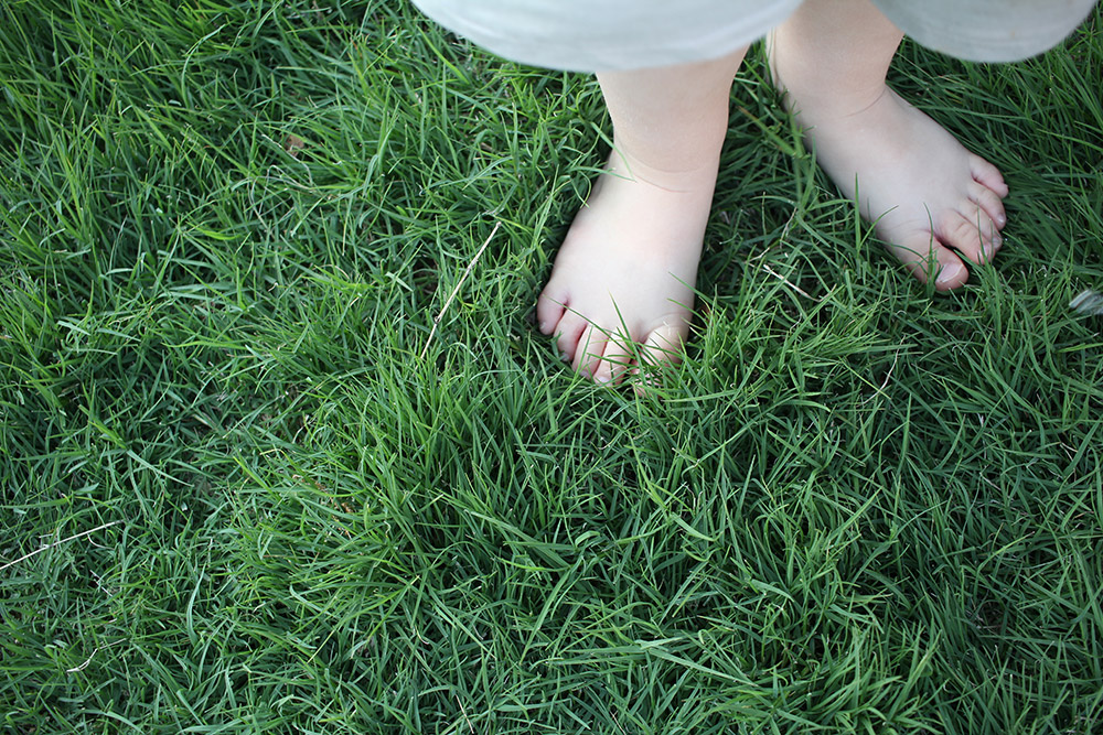 walking barefoot on a lawn