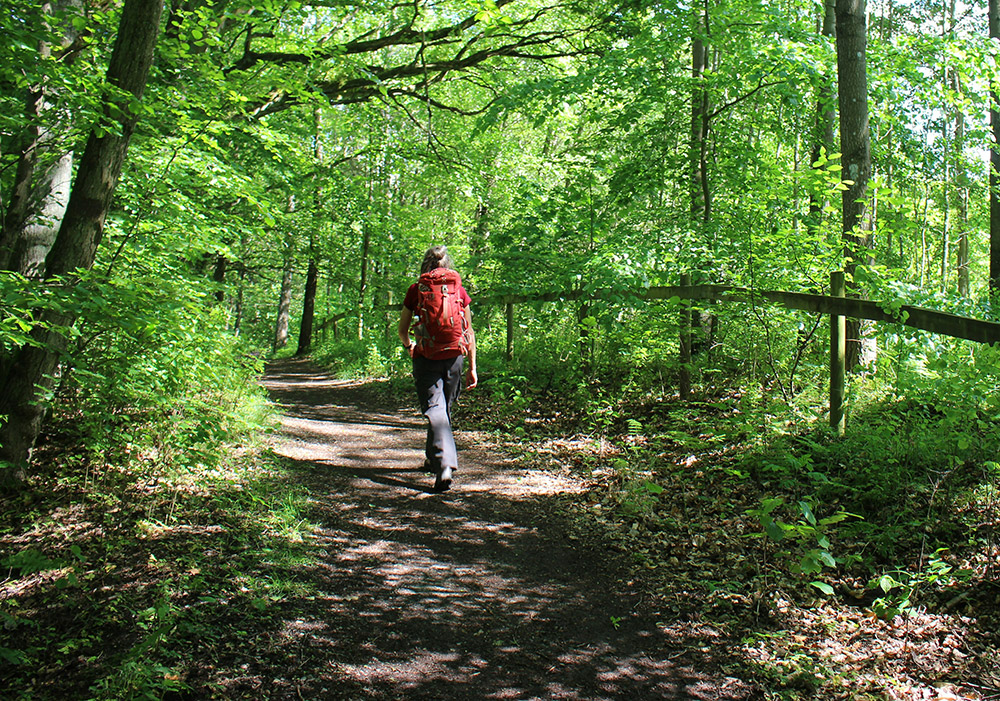 person hiking