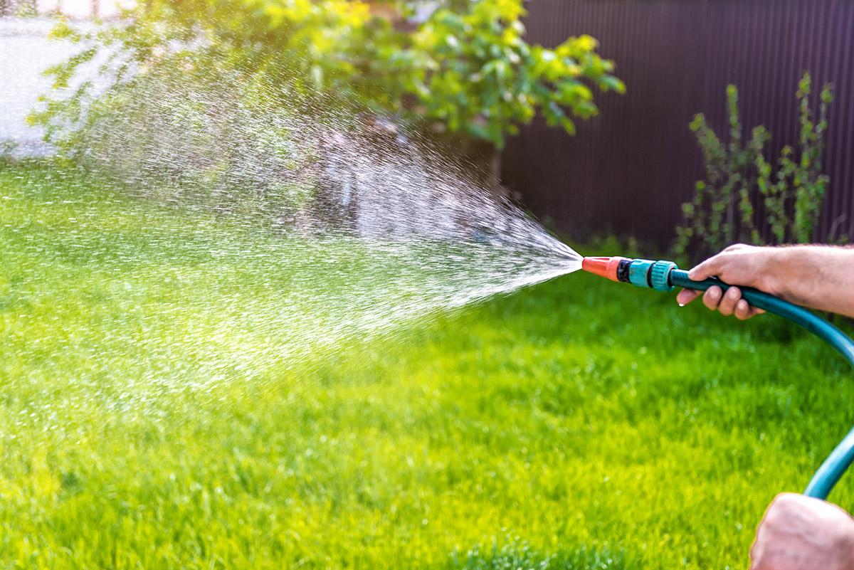 Watering lawn with a hose
