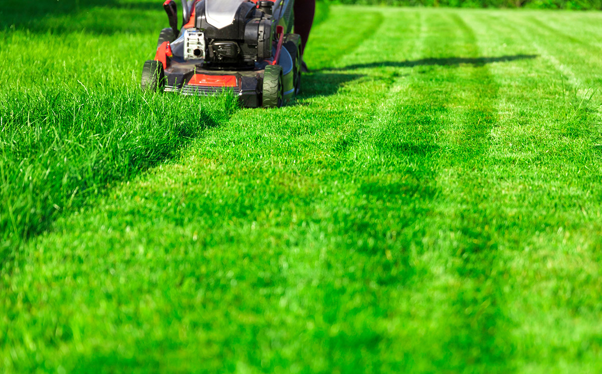 Mowing a lawn in springtime
